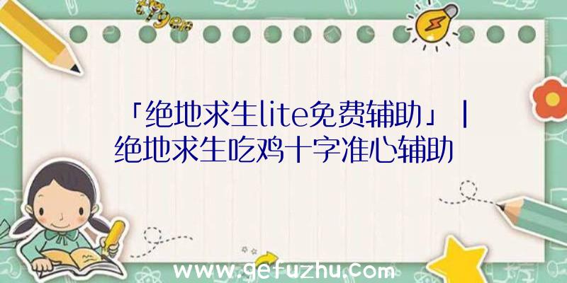 「绝地求生lite免费辅助」|绝地求生吃鸡十字准心辅助